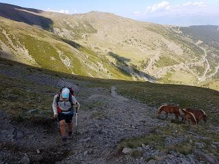 TRANSPIRENAICA GR11 ETAPA 24: ERR - NÚRIA