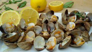 Receta: Berberechos A La Italiana