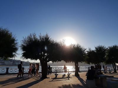 Crónica del 66 Festival Internacional de San Sebastían Parte 1