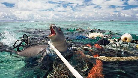 A Plastic Ocean será exhibido el 18 de Octubre en el marco de la Semana del Clima
