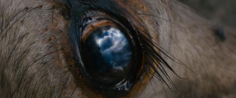 FEMCINE llega a Buenos Aires con actividades en Malba y el Centro Cultural Matta