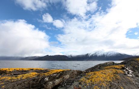 Andrew Graham Dixon disecciona El arte de Escandinavia en Film & Arts. Estreno, 9 de Octubre