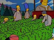 LÍDERES INDEPENDENTISTAS QUIEREN INDEPENDENCIA, SINO ETERNO ‘PROCES’ Tras años montar número tras otro, mucha gente dando cuenta desean caudillos independentismo catalán independencia,...