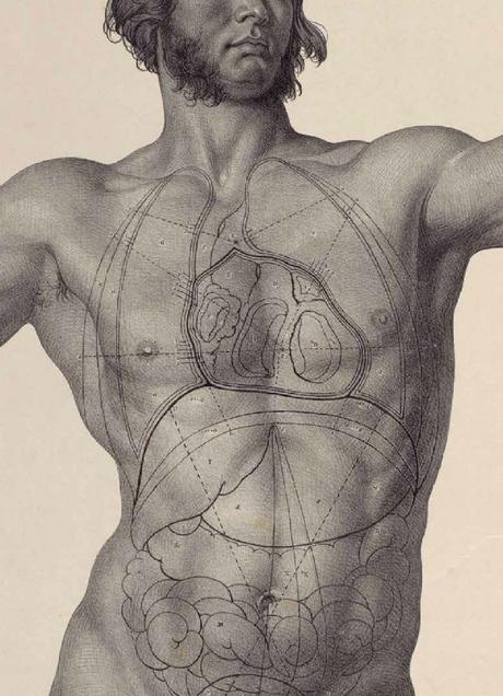 Otoño Shelley 4. La  voz de un sueño