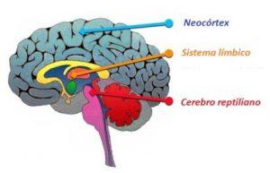 Inteligencia Emocional En La Toma De Decisiones