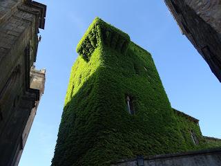 Imagen del mes: Ventanas geminadas del casco histórico de Cáceres