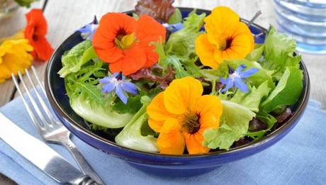 Comer flores: es necesaria una regulación