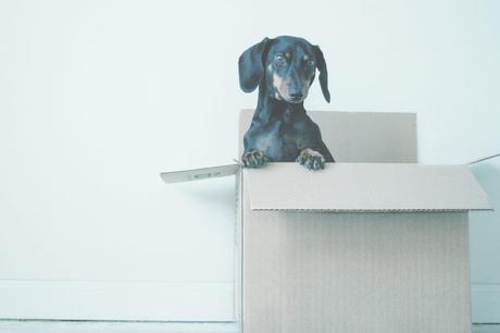 La mitad de las mudanzas en España se concentran en Madrid mudanzas en España