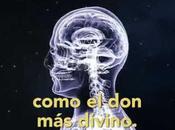 Chispa Vida