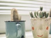 Dime como vives diré eres