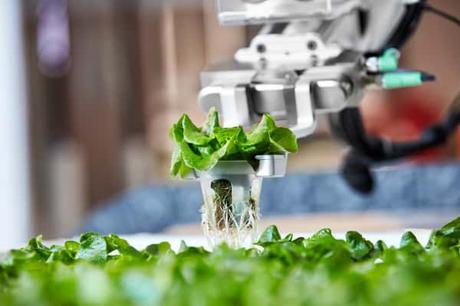 Primera Granja autónoma del mundo ya produce alimentos!