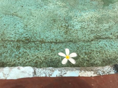 Fabtravels: India II