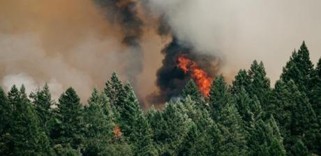 Datos y drones para comprender el comportamiento de los incendios forestales