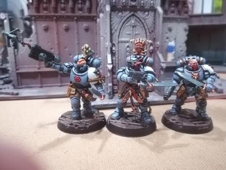 Los Lobos Espaciales Primaris de Jaime de LUF (Kill Team)