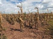 Según estudio dirigido Rutgers, ondas estacionarias subtropicales pudieran generar clima húmedo seco extremo nuestro planeta