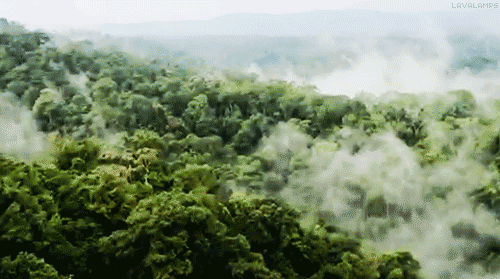 Reseña: Ley Natural - Sergio Sola Ponce