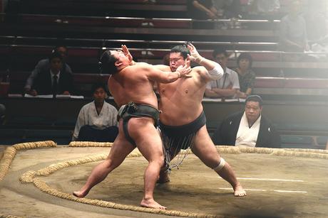 Aki Basho – Torneo de Sumo de Otoño en Tokyo DSC_1075s