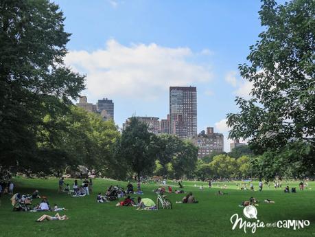 Recorrer Nueva York en bicicleta