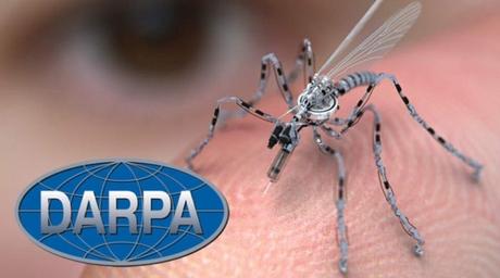 DARPA está creando insectos infectados con virus como armas biológicas DARPA está creando insectos infectados con virus como armas biológicas