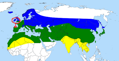 Polillas en migración