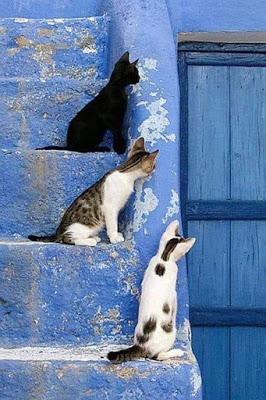 Tras el aval del Tribunal Supremo, el presidente del PP viaja hacia el pasado. Tras el aval del Tribunal Supremo, el presidente del PP viaja hacia el pasado.