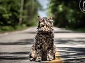 Primeras imágenes remake 'Cementerio animales'