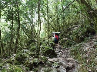 TRANSPIRENAICA GR11 ETAPA 26: MOLLÓ - SANT ANIOL