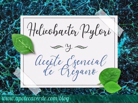 Helicobacter pylori y aceite esencial de oregano