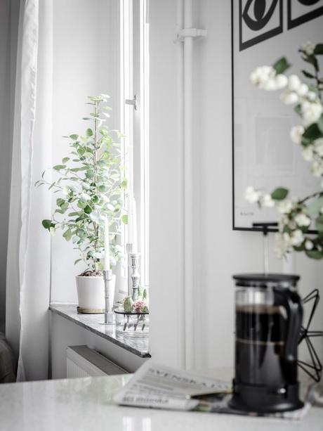 mini pisos decoración distribución sin paredes distribución abierta decoración pisos muy pequeños decoración escandinava   