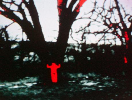Ana Mendieta tapada por el tiempo y por la historia
