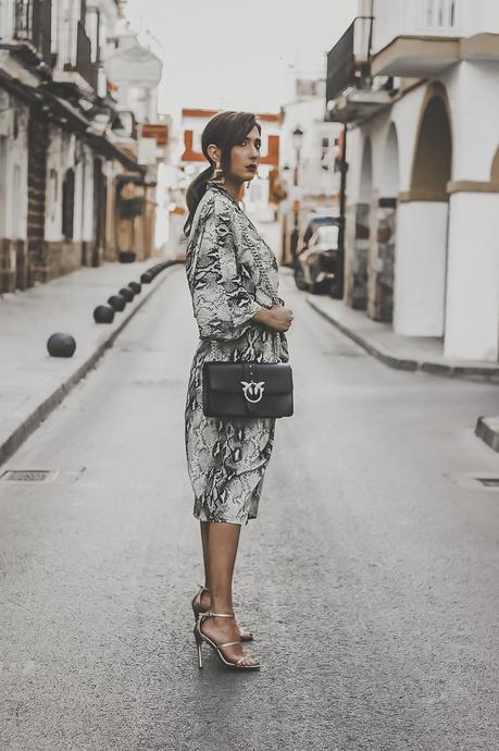 SNAKE PRINT MIDI DRESS + HOW TO WEAR: ANIMAL PRINT snake print midi dress