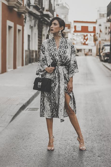 SNAKE PRINT MIDI DRESS + HOW TO WEAR: ANIMAL PRINT SNAKE PRINT MIDI DRESS + HOW TO WEAR: ANIMAL PRINT