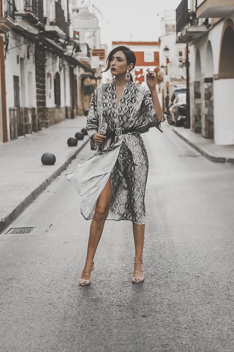 SNAKE PRINT MIDI DRESS + HOW TO WEAR: ANIMAL PRINT SNAKE PRINT MIDI DRESS + HOW TO WEAR: ANIMAL PRINT