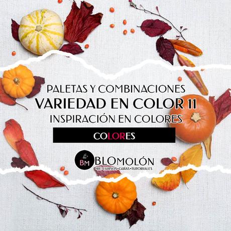 Variedad En Color 11 Paletas