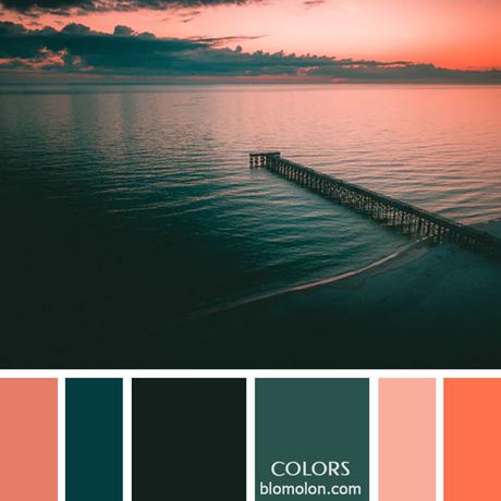 Variedad En Color 11 Paletas