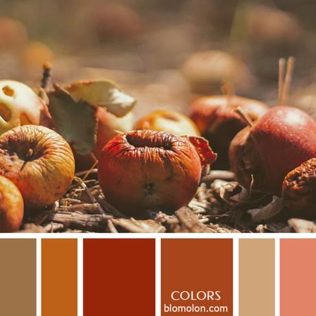 Variedad En Color 11 Paletas