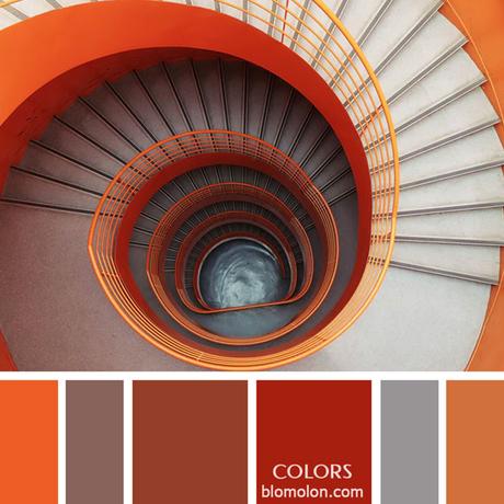 Variedad En Color 11 Paletas