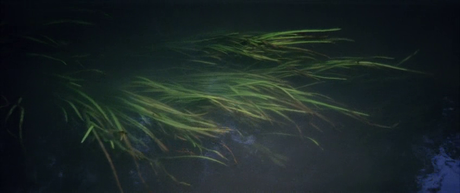 Solyaris - 1972 Solyaris - 1972