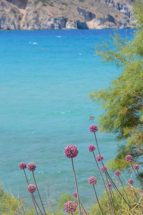 La Isla soñada: Milos, Grecia (Parte II)