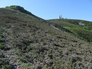El Ruchu-El Brañil.lín-Coleo-Pedro Cano-La Bisbitera del Acebalón