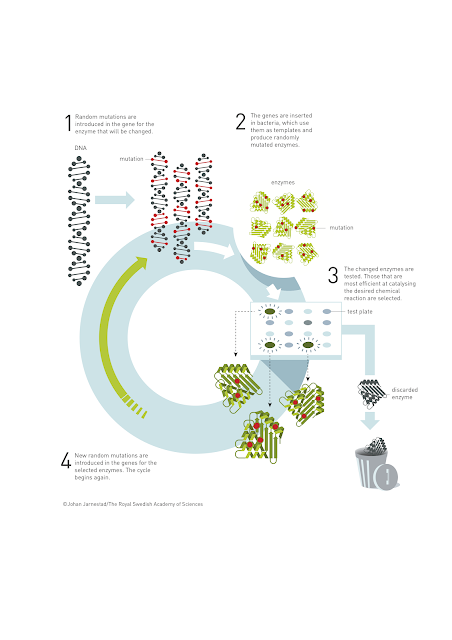 Mutagénesis en el Nobel de química 2018