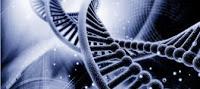 Científicos Curan la Fenilcetonuria con Ingeniera Genética