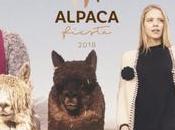 Siete diseñadores compiten primer lugar concurso Jóvenes Creadores Mundo