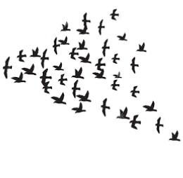 Pájaros en bandada: función manada