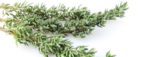 Remedios caseros para la gripe y la tos Tomillo remedio casero gripe