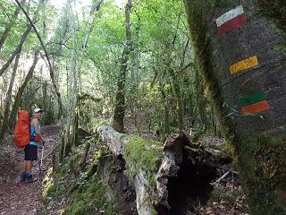 TRANSPIRENAICA GR11 ETAPA 27: SANT ANIOL - ALBANYÀ