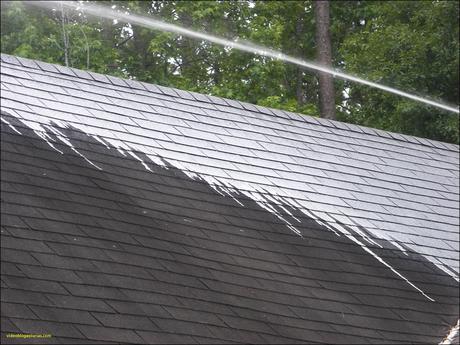 Inspirational Roof Algae Remover