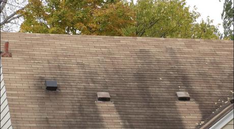 Inspirational Roof Algae Remover