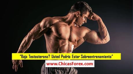 Baja Testosterona? Usted Podría Estar Sobreentrenamiento