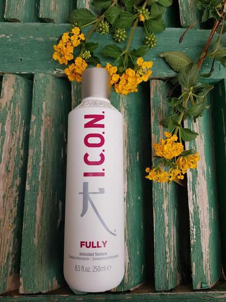 I.C.O.N, TRES PRODUCTOS PARA EL CABELLO QUE HE USADO EN LOS ÚLTIMOS MESES